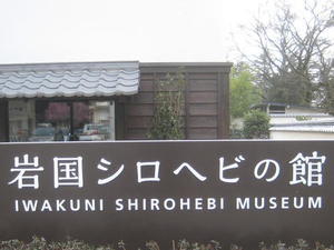 岩国シロヘビの館