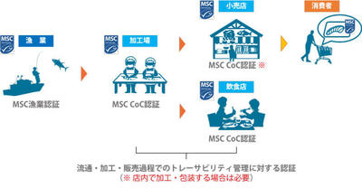 20210609msc06.jpg